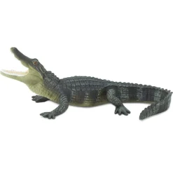 Alligator by Safari
