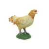 Ameraucana Chicken by Safari
