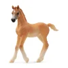 Arabian Foal by Schleich