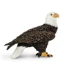 Bald Eagle by Safari