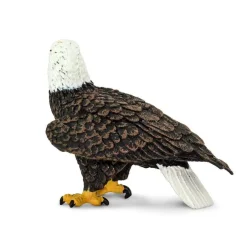 Bald Eagle by Safari