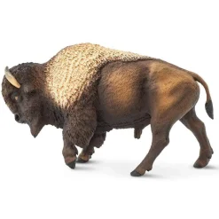 Bison or American Buffalo by Safari
