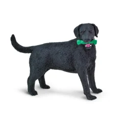 Black Lab Dog by Safari
