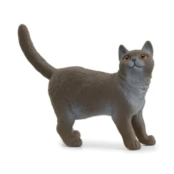 British Shorthair Cat by Schleich