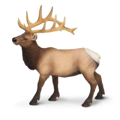 Bull Elk by Safari