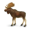 Bull Moose by Safari