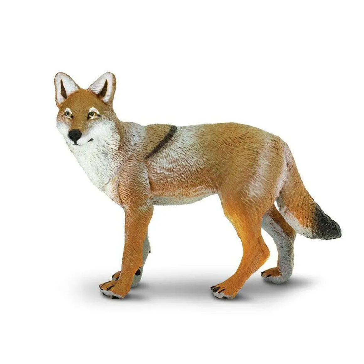 Coyote by Safari Ltd