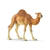 Dromedary Camel by Schleich