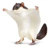 Flying Squirrel by Safari