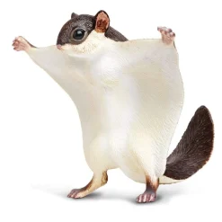 Flying Squirrel by Safari