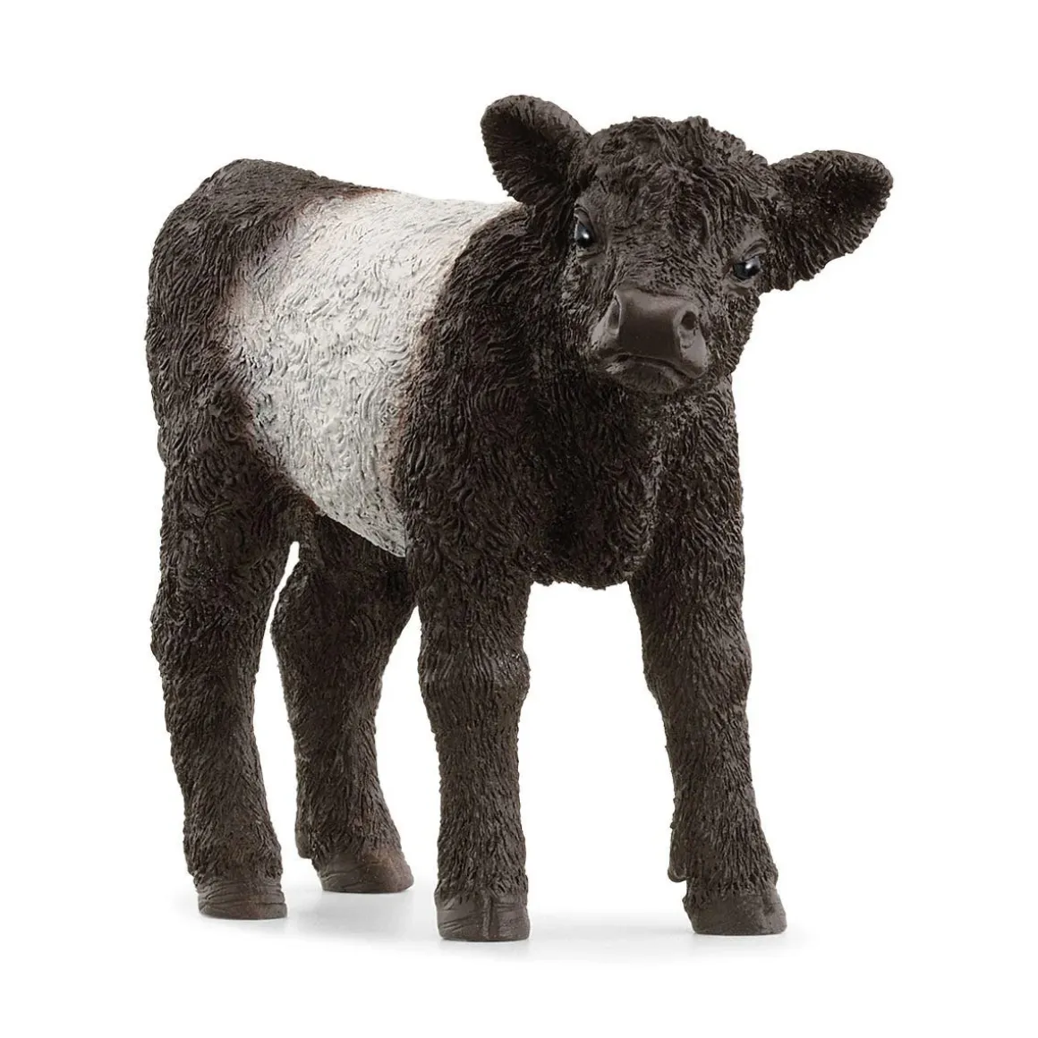 Galloway Calf by Schleich