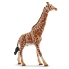 Giraffe Male by Schleich