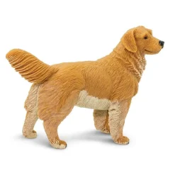 Golden Retriever by Safari