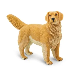 Golden Retriever by Safari
