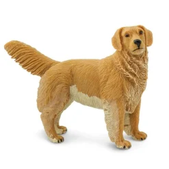 Golden Retriever by Safari