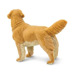 Golden Retriever by Safari