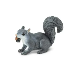Gray Squirrel by Safari
