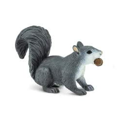Gray Squirrel by Safari