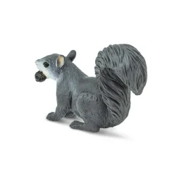 Gray Squirrel by Safari