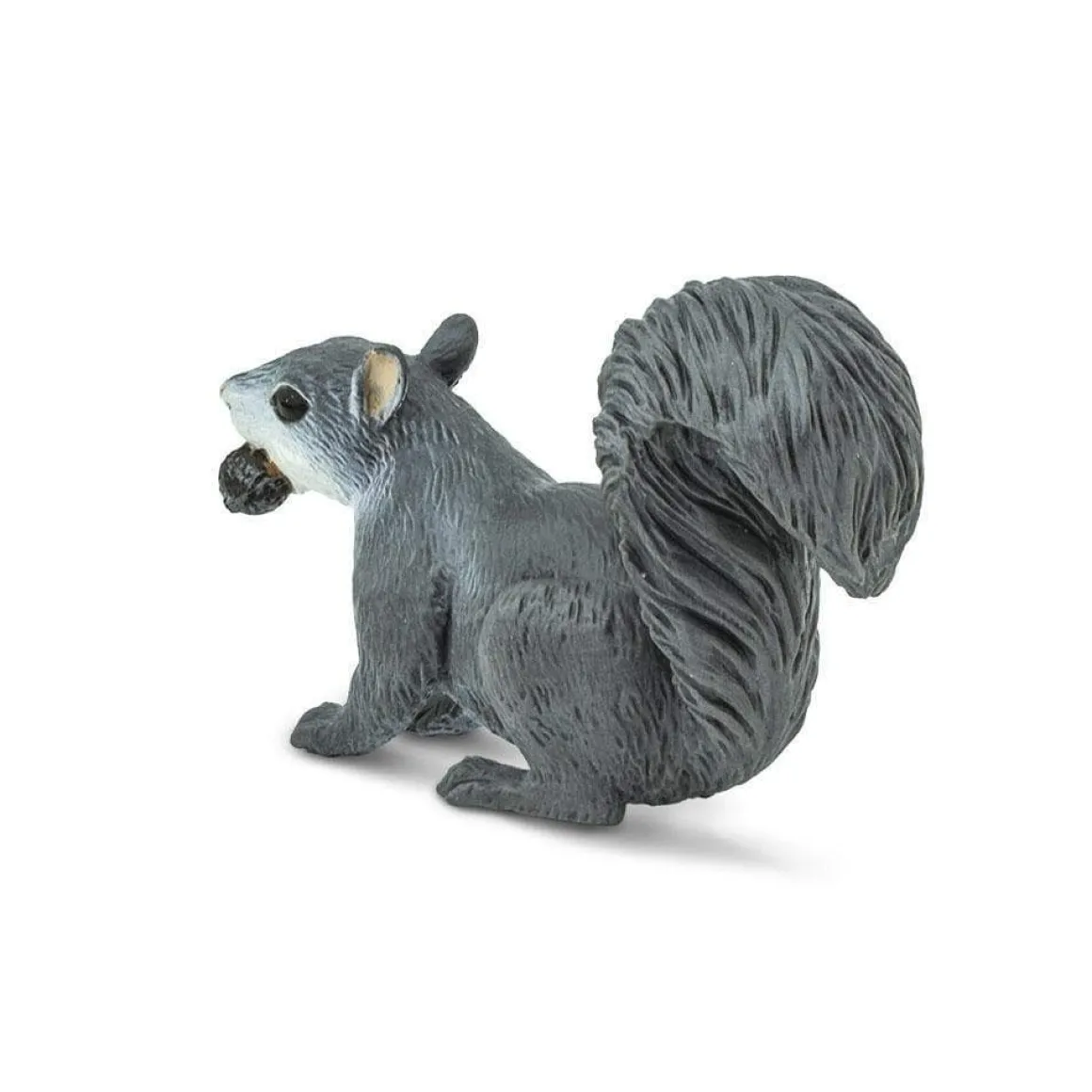 Gray Squirrel by Safari