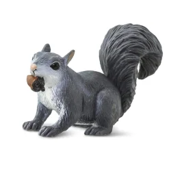 Gray Squirrel by Safari