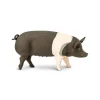 Hampshire Pig by Safari Ltd