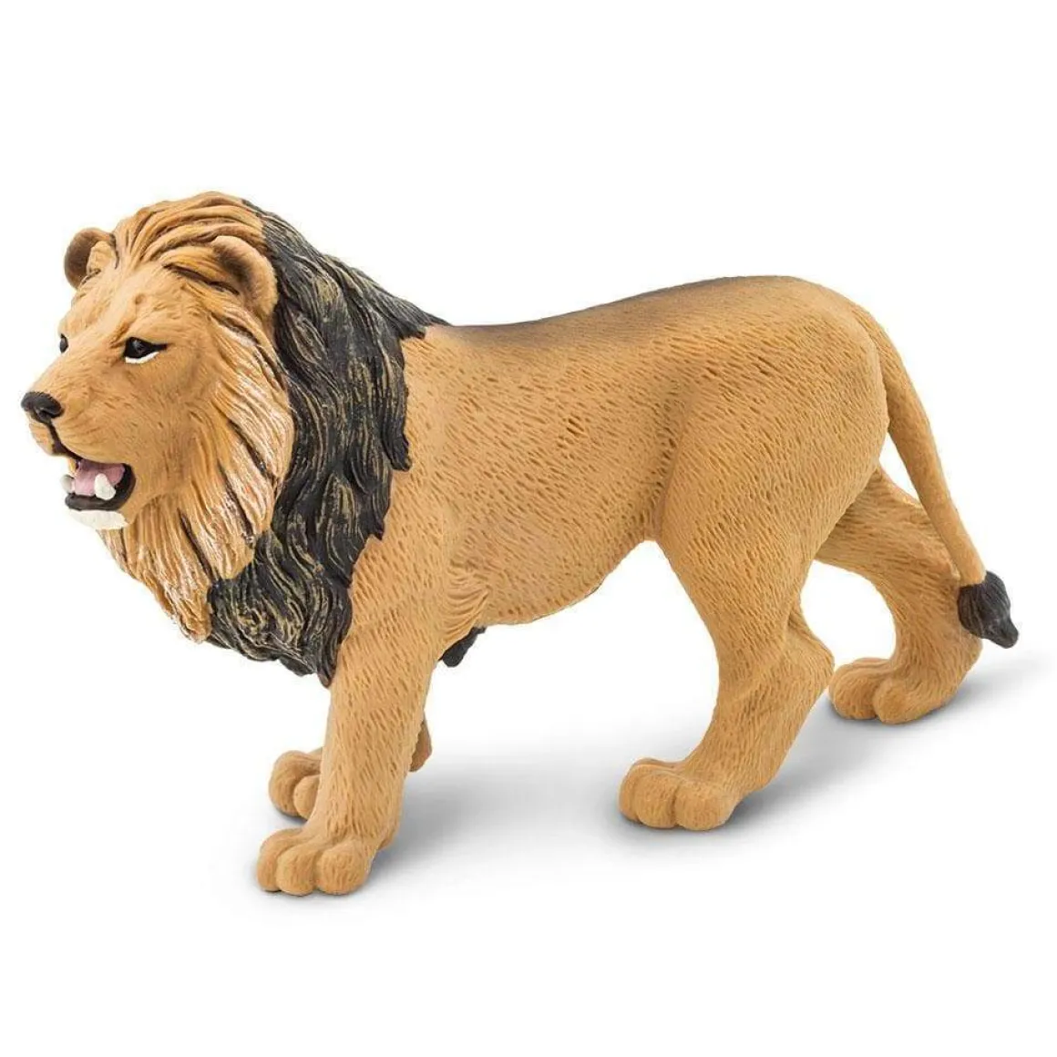 Male Lion by Safari