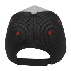 Massey Ferguson Logo Catonic Mesh Back Hat