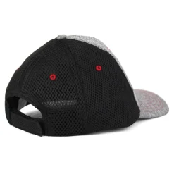 Massey Ferguson Logo Catonic Mesh Back Hat
