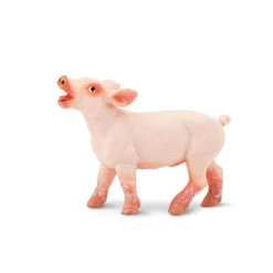 Piglet by Safari
