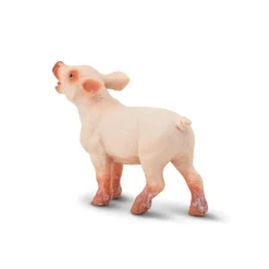 Piglet by Safari
