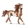 Pinto Stallion (Horse) by Schleich