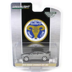Raw Chase Unit ~ 1/64 2018 Dodge Charger SRT 392, Mr. Norm Heritage GSS Charger, Hobby Exclusive