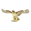 Red-tailed Hawk by Safari