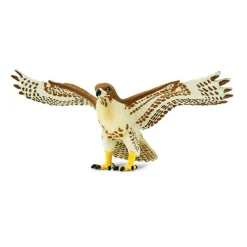 Red-tailed Hawk by Safari