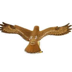 Red-tailed Hawk by Safari