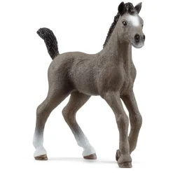 Selle Francais Foal by Schleich