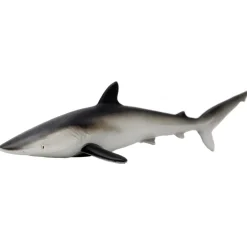 Silky Shark by Safari