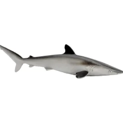 Silky Shark by Safari
