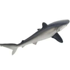 Silky Shark by Safari