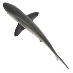 Silky Shark by Safari
