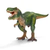 Tyrannosaurus Rex Dinosaur
