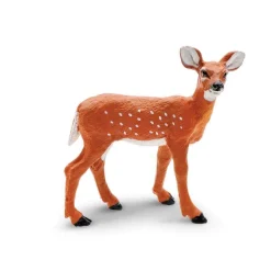 Whitetail Fawn by Safari